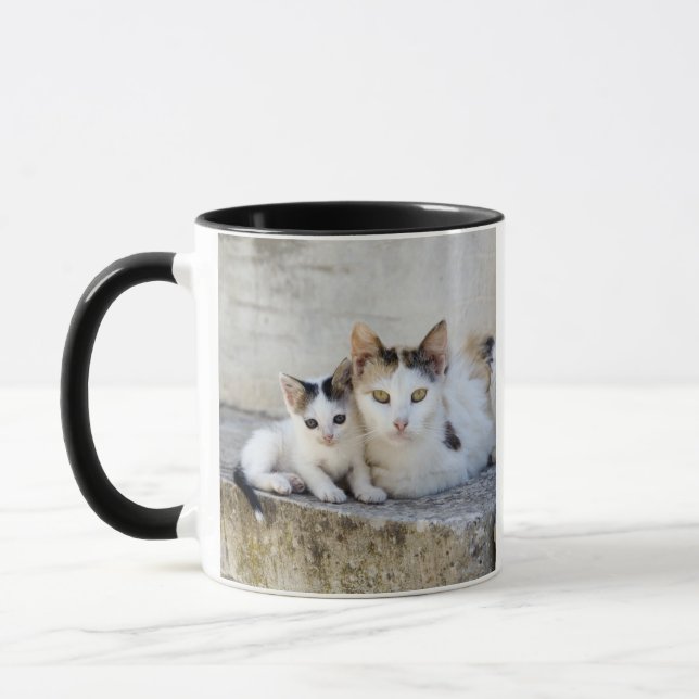Mug Deux chats sur les étapes en pierre (Gauche)