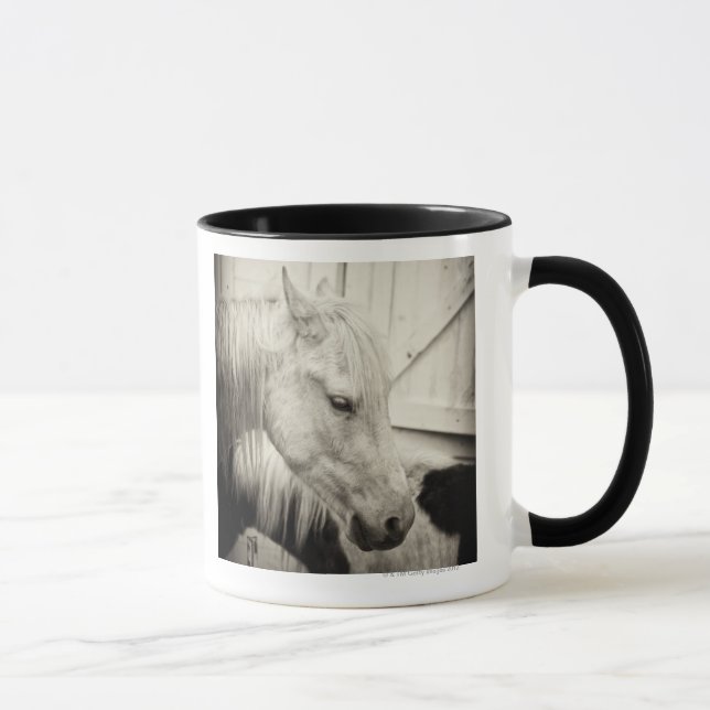 Mug deux chevaux en dehors d'une écurie noire et (Droite)