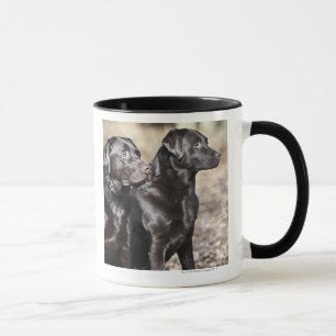 Mug Deux chiens d'arrêt de Labrador noirs