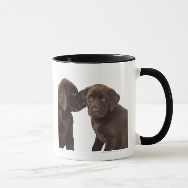 Mug Deux chiots de labrador retriever de chocolat (Droite)