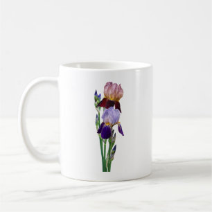 Mug Deux iris barbus Un marron Un violet