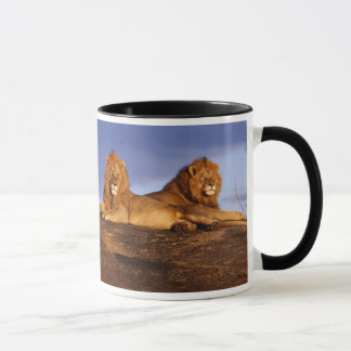 Mug Deux lions mâles et une boug lionne pour Leos