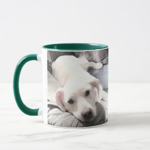 Mug Deux photos de l'adorable chiot blanc sur un canap