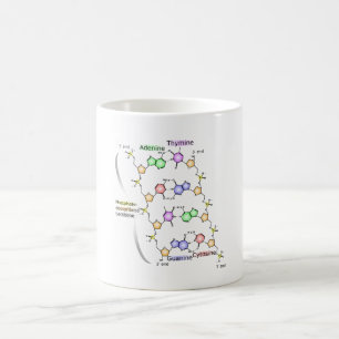 MUG Diagram of the Chemical structure of DNA