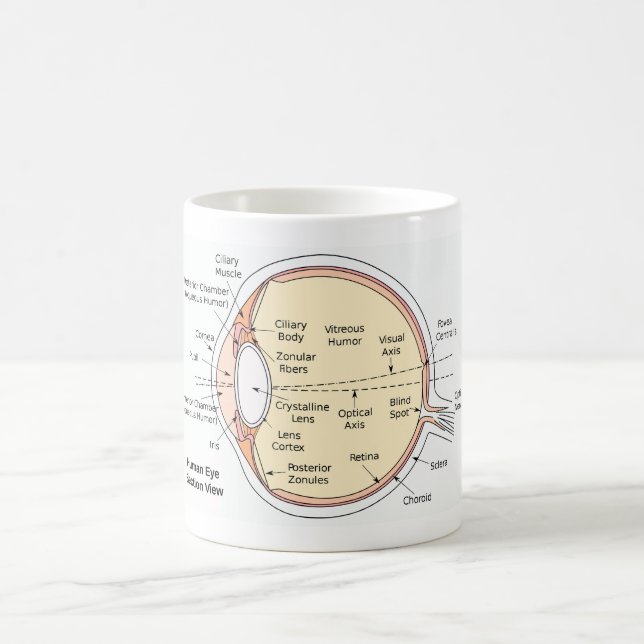 Mug Diagramme anatomique de boule d'oeil humain de (Centre)