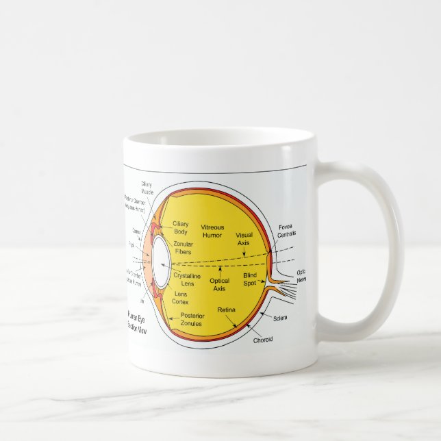Mug Diagramme anatomique de la boule d'oeil humain (Droite)