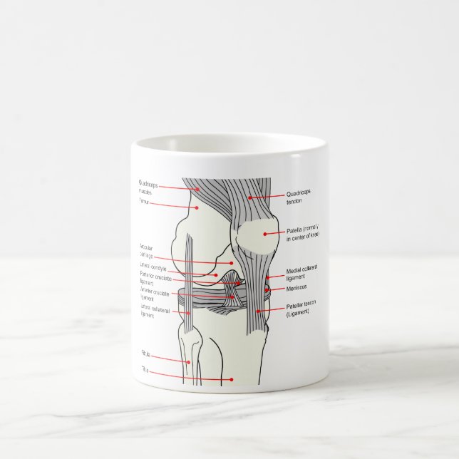 Mug Diagramme anatomique d'un joint humain du genou (Centre)
