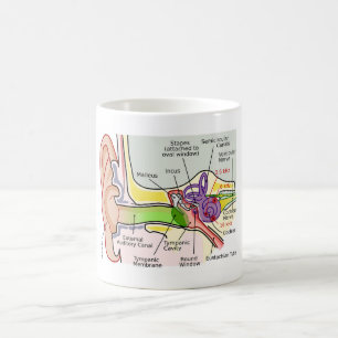 Mug Diagramme de cartographie de fréquence Cochléaire 