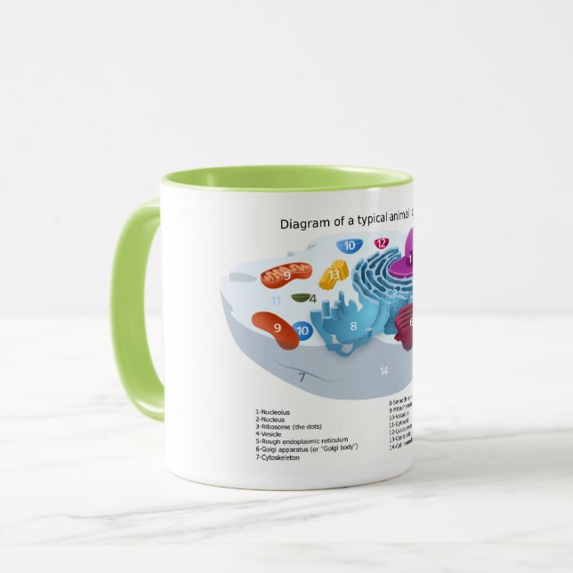 Mug Diagramme de cellule animale labellisé (Devant gauche)