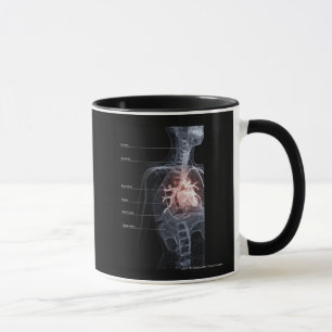 Mug Diagramme de l'appareil respiratoire et du coeur