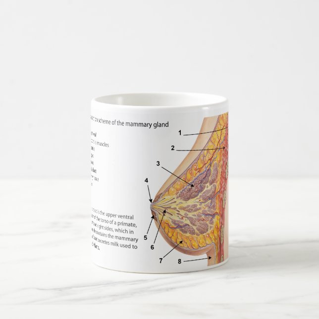 Mug Diagramme de section transversale de l'argile mamm (Centre)