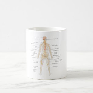 Mug Diagramme du corps nerveux du corps humain
