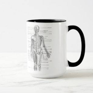 Mug Diagramme humain d'anatomie