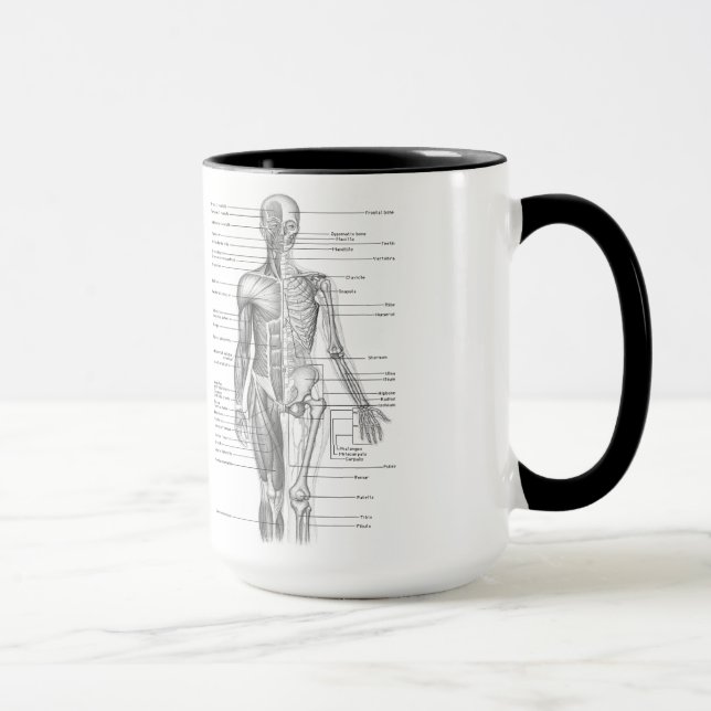 Mug Diagramme humain d'anatomie (Droite)