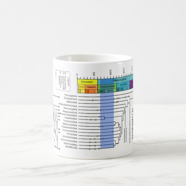 Mug Diagramme phylogénétique des lépidoptères (Centre)