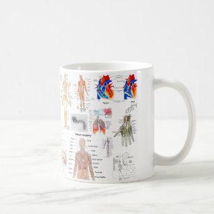 Mug Diagrammes humains d'anatomie