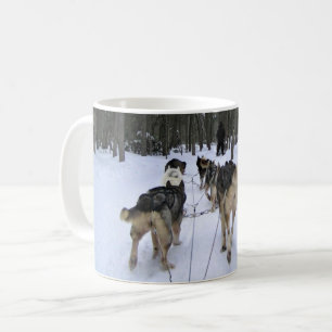 Mug Dog Sledding à Québec, Canada