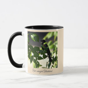 Mug d'oiseaux noirs à ailes rouges