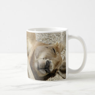 Mug Dormir Kangaroo