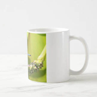 Mug Dragonfly aux yeux turquoises