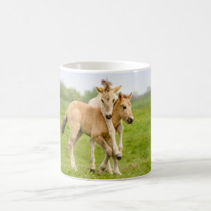 Mug Drôle Chevaux Konik Sauvages Foals Jouant Ensemble