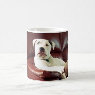 Mug drôle de pit bull chien sur le canapé