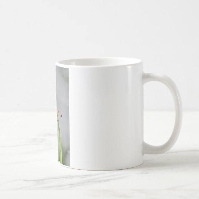 MUG DSC00029.JPG (Droite)