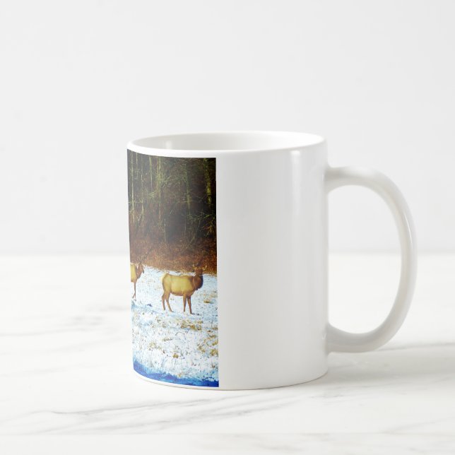 MUG DSC00131.JPG (Droite)