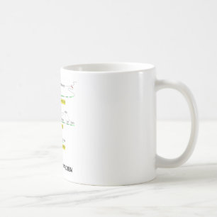 Mug Du gène à la protéine