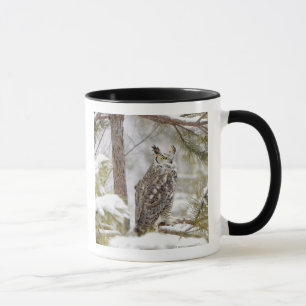 Mug Duc