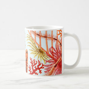 Mug Échinodermes de la Grande barrière de corail   VIN