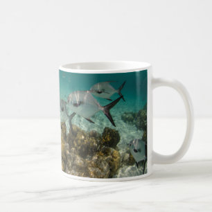 Mug École de poissons permis