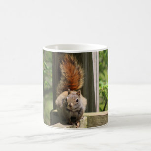 Mug Écureuil