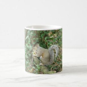 Mug Écureuil avec de la bouillie d'Acorn
