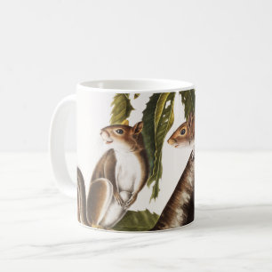 Mug Écureuil gris de Caroline (Sciurus Carolinensis)