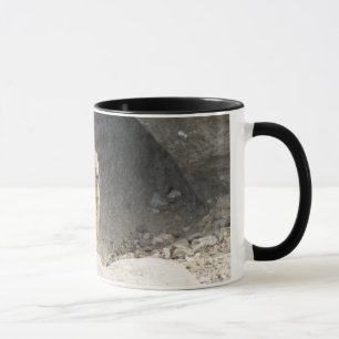 Mug Écureuil moulu