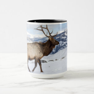 Mug Élan mâle solitaire   Parc national de Yellowstone