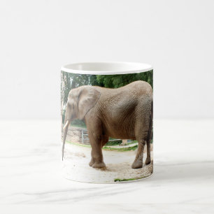 Mug éléphant africain