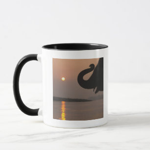 Mug Éléphant, parc national de Chitwan, Népal