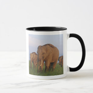 Mug Éléphants indiens dans la prairie