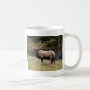 Mug Elk dans le désert