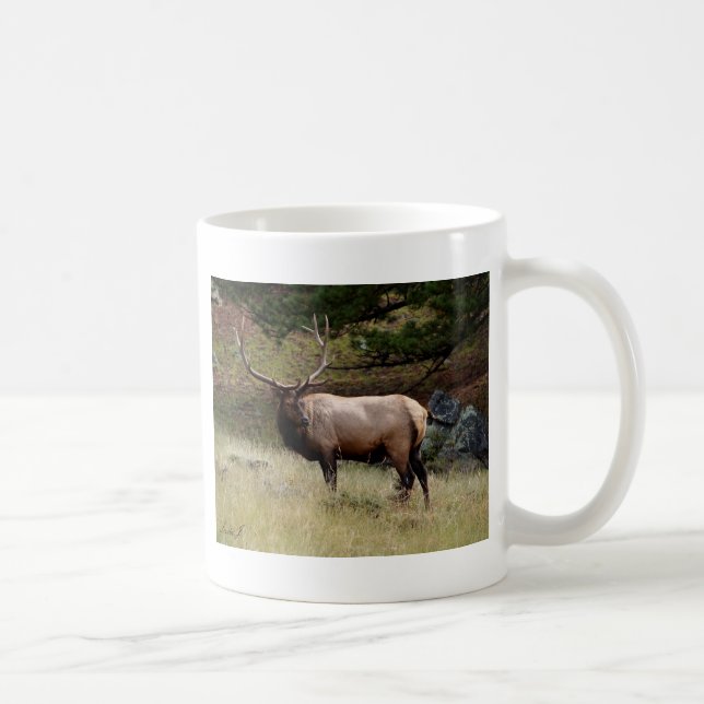 Mug Elk dans le désert (Droite)