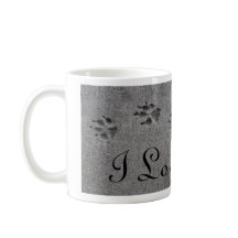 Empreintes de pattes et photo