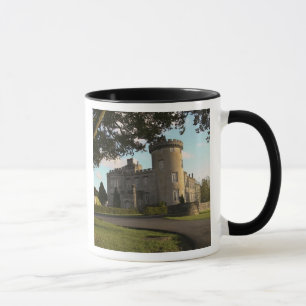Mug En Irlande, l'entrée latérale du château de Dromol