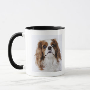 Mug Épagneul cavalier du Roi Charles se reposant dans