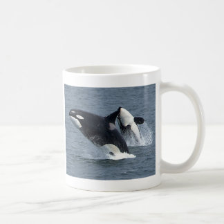 Mug épaulards