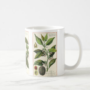 Mug Épices Vintage, Clous de girofle, Poivre noir, Noi