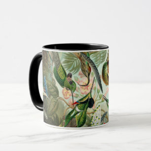 Mug Ernst Haeckel Art Imprimer : Trochilide