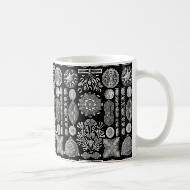 Mug Ernst Haeckel Diatomea (Droite)