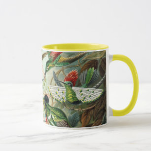 Mug Ernst Haeckel Hummingbirds - Art Formes de la natu
